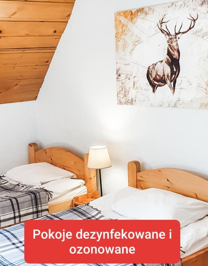 Zakopane Stop Bed & Breakfast Dış mekan fotoğraf